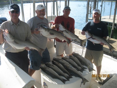Nice Striped Bass